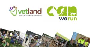 Can We Run Las Palmas